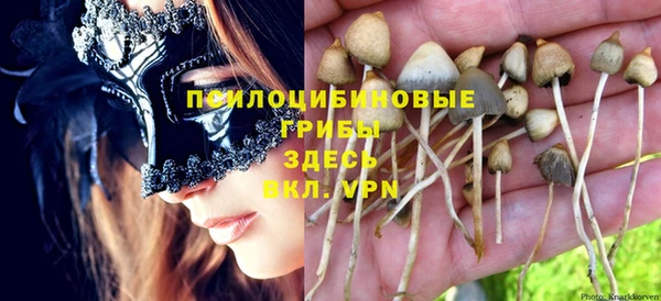 MESCALINE Белокуриха