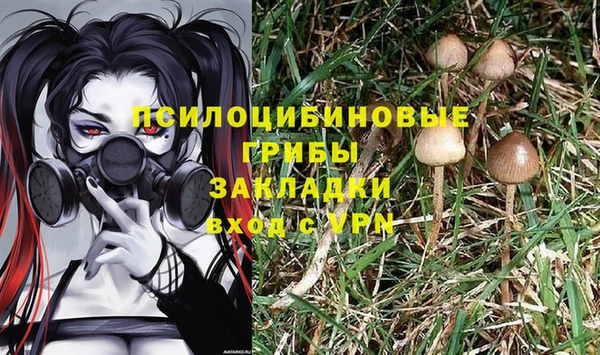 MESCALINE Белокуриха